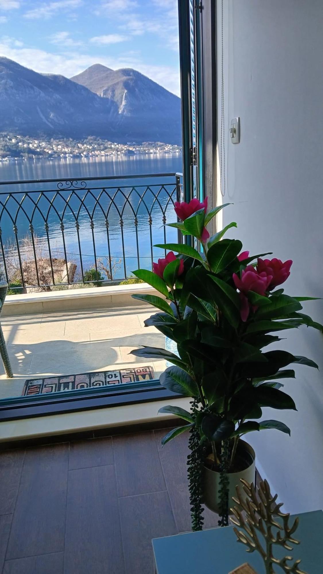 Apartment Funny Kotor Kültér fotó